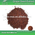 China Manufacturer - Top Quality Grape Seed Extract (High Orac Value)
